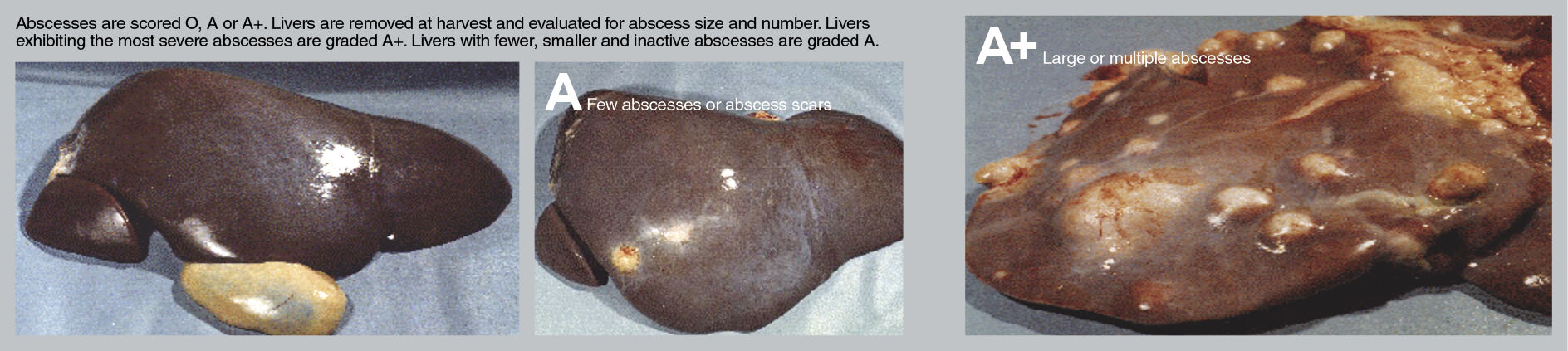 p6.jpg